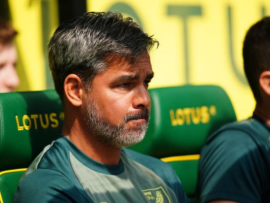 David Wagner encouraged by Norwich’s start to the season