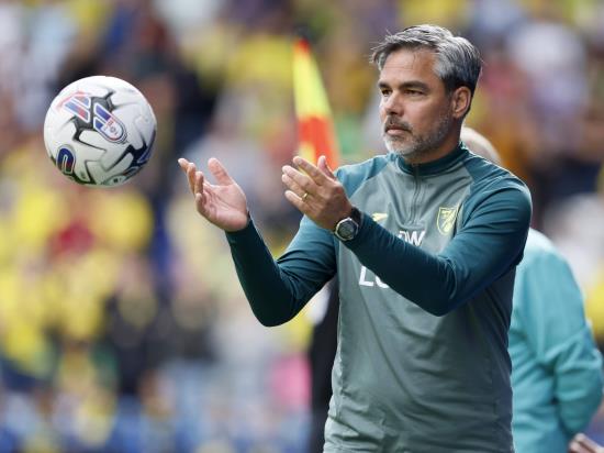 David Wagner proud of ‘mature’ display from much-changed Norwich