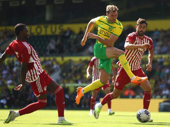 Jack Stacey strike helps Norwich to deserved victory over Stoke