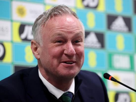 Michael O’Neill calls Northern Ireland win over Denmark step in right direction