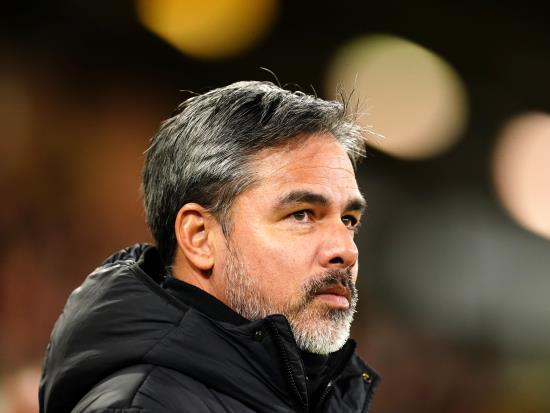 Norwich boss David Wagner delighted to ‘put things right’ with clinical display