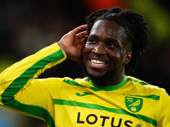 Norwich warm up for derby with comfortable win against Sheffield Wednesday