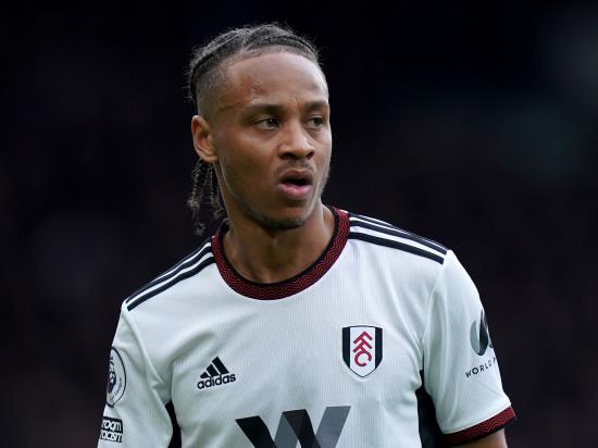 Bobby De Cordova-Reid stunner sees Fulham beat Rotherham in FA Cup