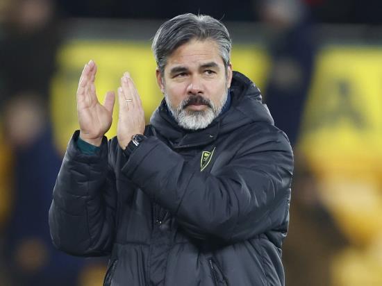 David Wagner feels Norwich ‘moving in the right direction’ after West Brom win
