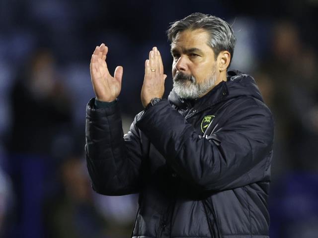 Norwich ‘not ruthless’ enough in Sheffield Wednesday draw – David Wagner