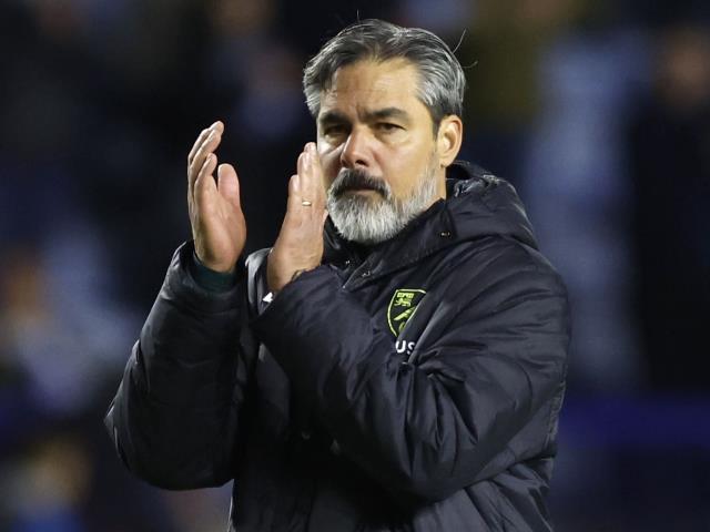 David Wagner insists job ‘isn’t done’ yet after Norwich win late on at Preston