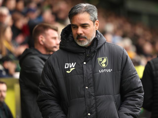 David Wagner happy with point to keep Norwich on track for play-off place