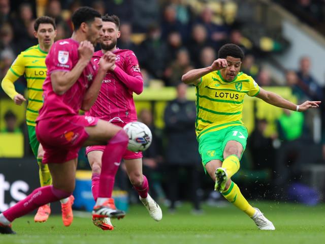 Play-off destiny still in Norwich’s hands despite draw with Swansea
