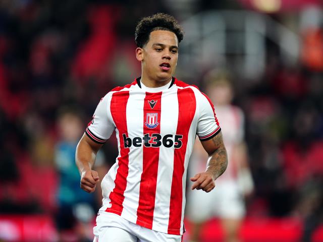 Stoke take big step towards survival with win over Sheffield Wednesday