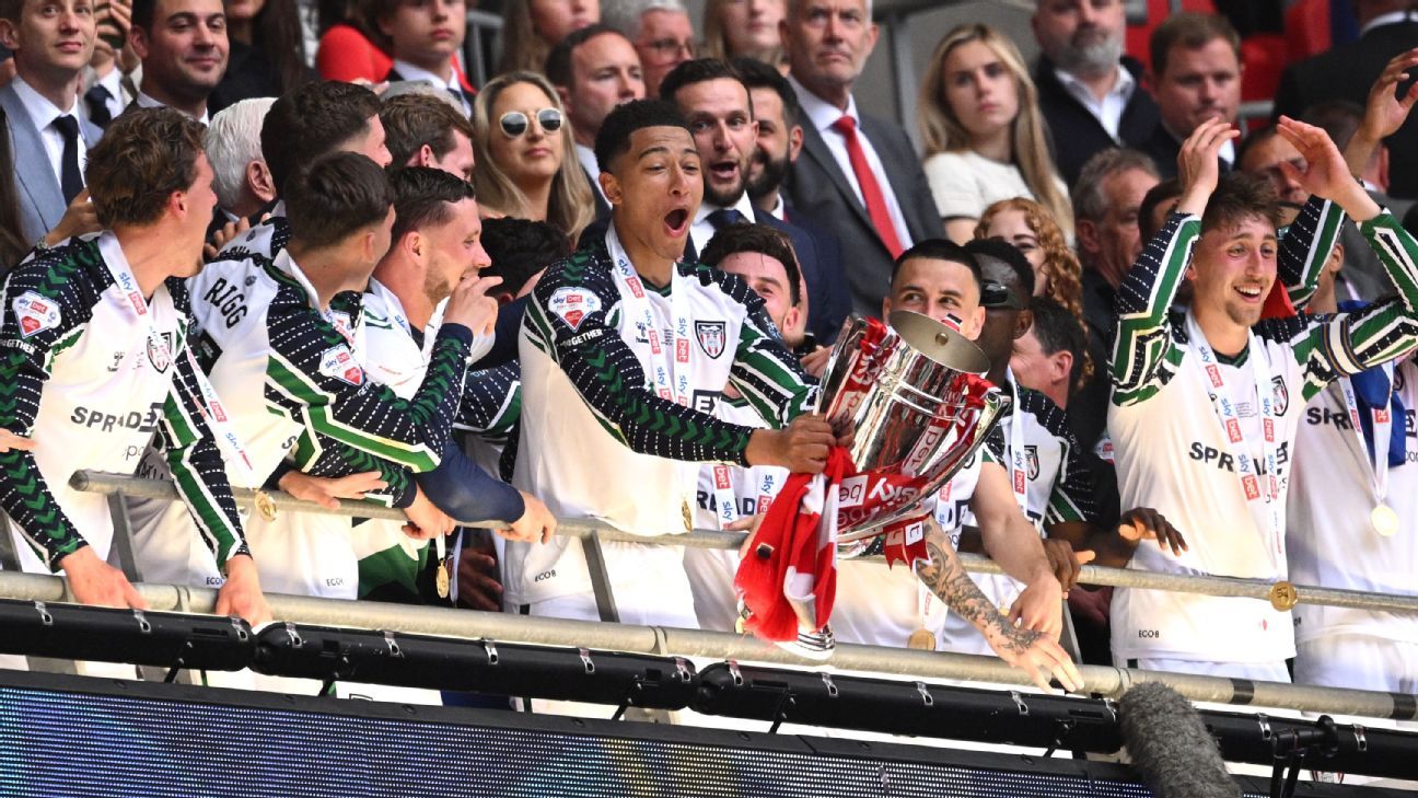 Congrats, you've been promoted to the Premier League! Now what?