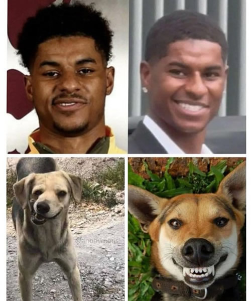 Daily Laugh - Klopp now