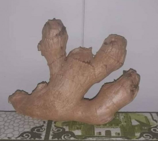 Daily Laugh - Hojlund, Jackson and Nunez left EPL