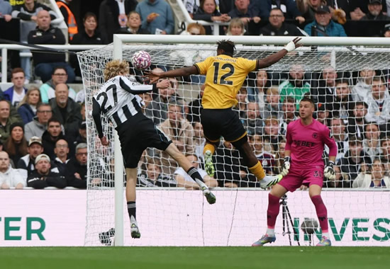 GEORDIE SCORE Newcastle star Nick Woltemade sends message to Geordie women after moving into bachelor pad with pal