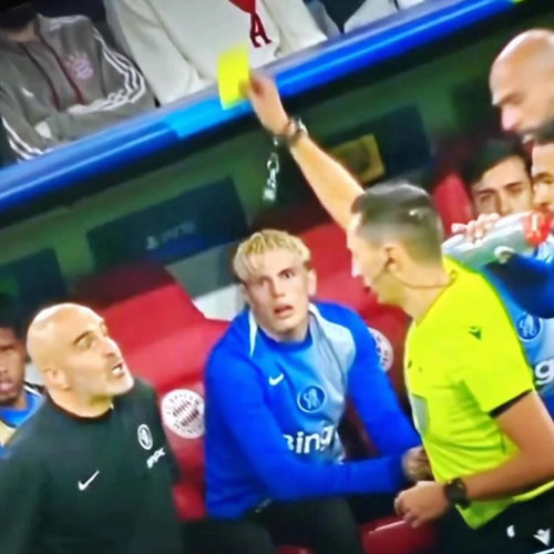 Daily Laugh - It's okay, Maresca