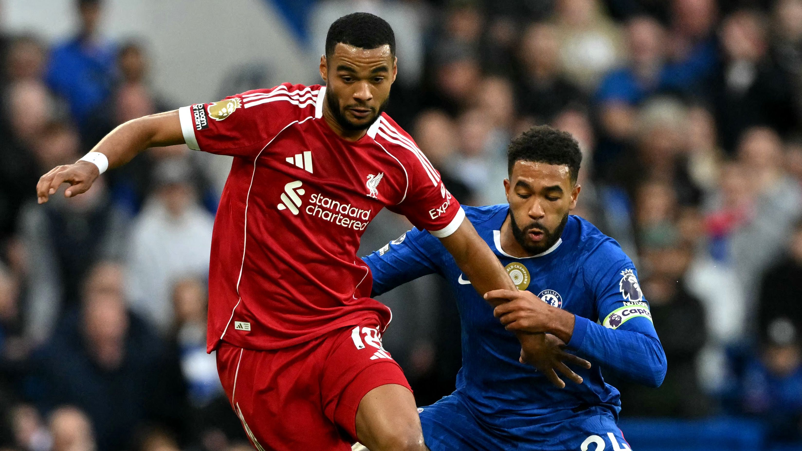 'Hard to take' - Cody Gakpo reacts to Liverpool's defeat to Chelsea and insists Reds 'played a little better' than Enzo Maresca's side