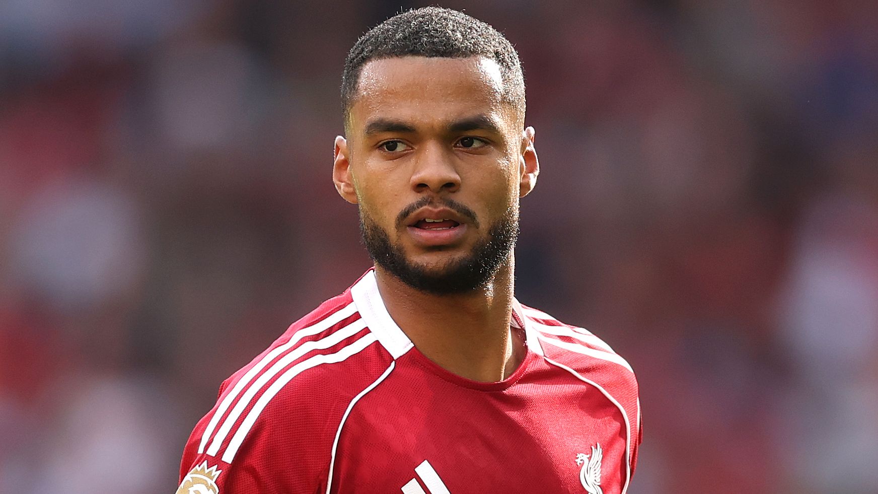 Cody Gakpo matches feat last achieved by Netherlands in 1978 as Oranje thump Malta in World Cup qualifier