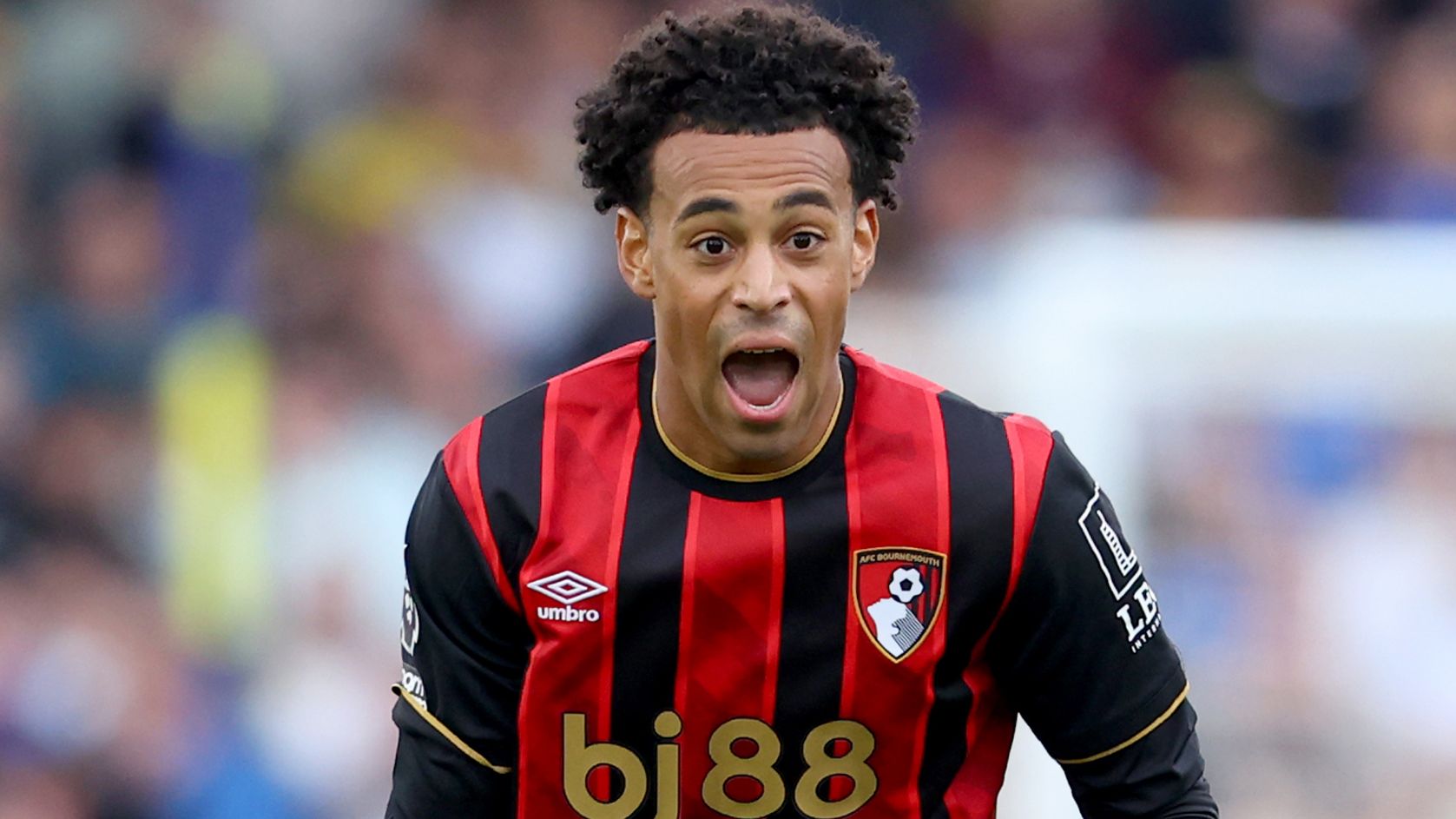 USMNT Transfers: Is Bournemouth's Tyler Adams headed to Manchester United - and why have Christian Pulisic’s AC Milan contract talks stalled?
