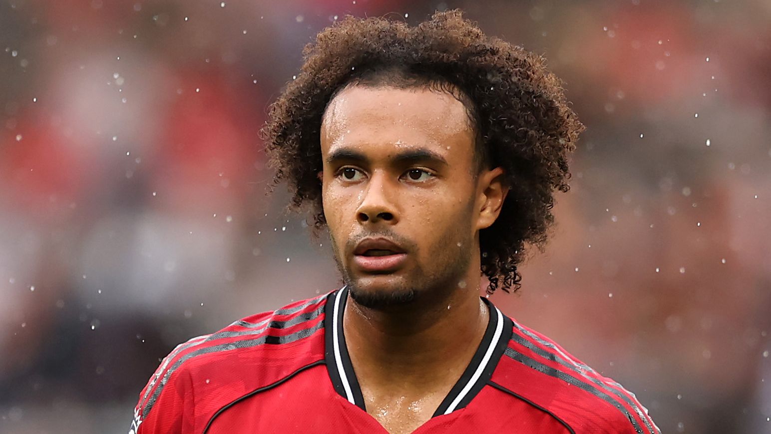 Joshua Zirkzee's move on ice! Man Utd make new transfer decision amid interest from West Ham & Roma