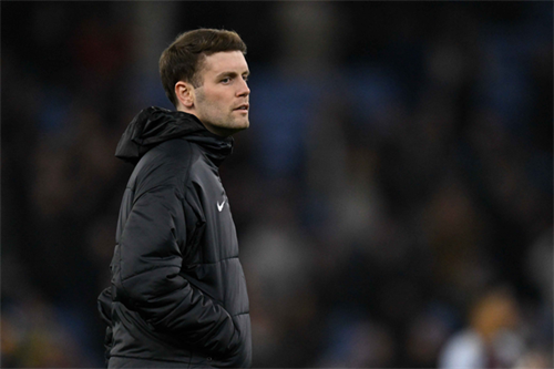 Fabian Hurzeler's Brighton future in serious doubt as results take a turn