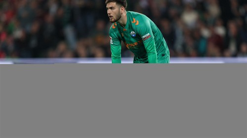 Nübel’s departure appears to have settled the goalkeeper situation at VfB
