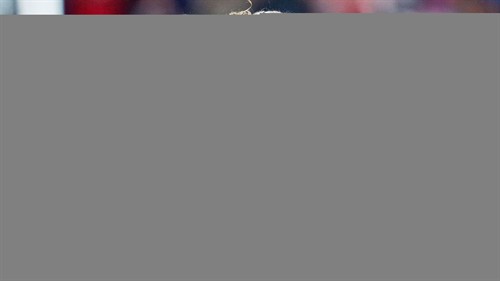 Austria squad World Cup 2026