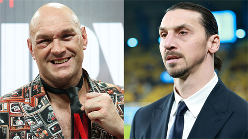 Fury & Ibrahimovic draw up plans to be next Reynolds & Rob Mac