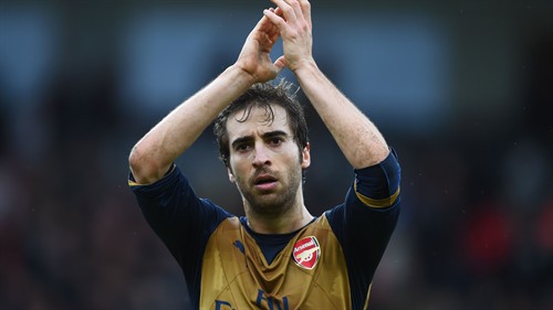 Ex-Arsenal star opens up on eco-friendly biochemistry business