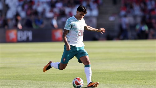 Sorry, Cristiano, Bruno is Portugal's most important player!