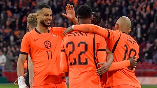 Netherlands dealt huge World Cup blow as Timber ruled out with injury