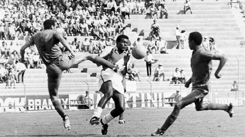 How have debutant teams performed at the FIFA World Cup?