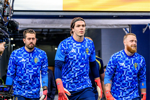 Sweden leave out goalkeeper Nordfeldt vs Japan
