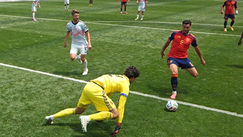 Ibrahimovic blasts 'overrated' Lammens after Belgium World Cup exit