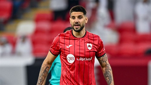 A painful blow: serious injury to rule Mitrovic out for three months
