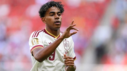 Yamal did a 'wonderful job' for Spain at World Cup, insists De la Fuente
