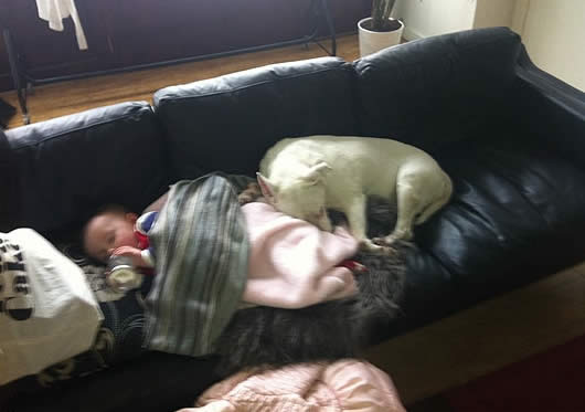 Abbey Pants-y takes her own fancy