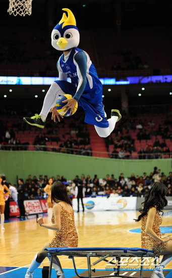 Korea's basketball sport babies