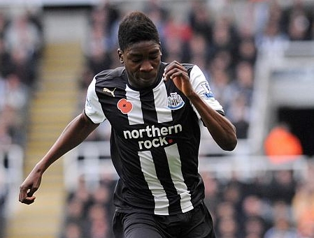 Ameobi blow for Newcastle as forward suffers serious injury