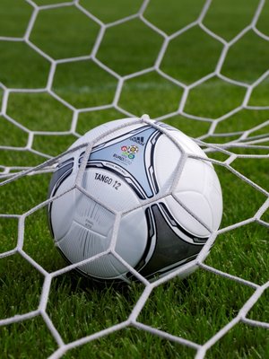 Adidas presents match ball for Euro 2012