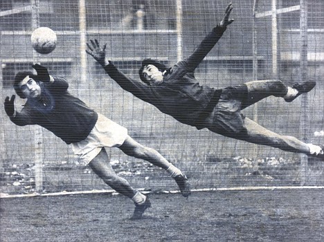 Hart will be our Gordon Banks! England are in safe hands with keeper, says Hodgson