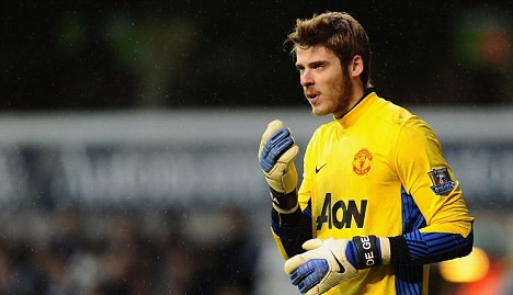 Part of the list: Manchester United No 1 David de Gea is in Spain's squad too