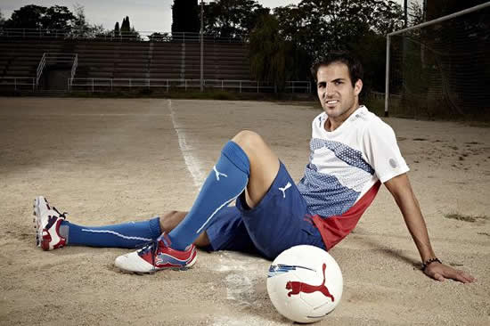 Cesc Fabregas: Arsene Wenger  will keep Arsenal at top