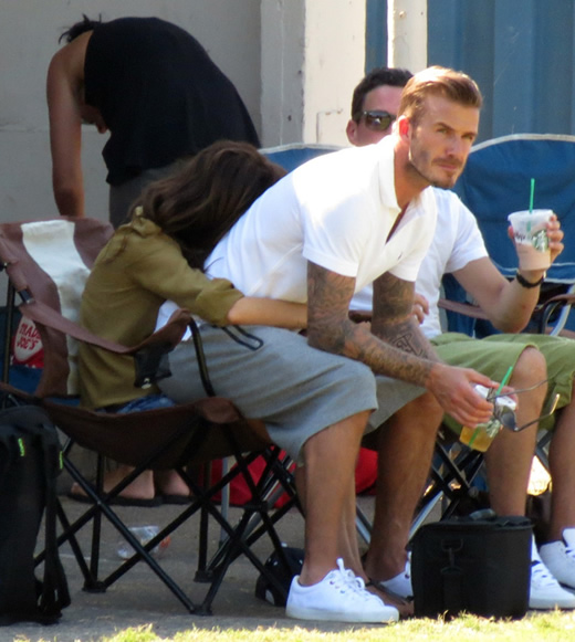 Becks Mrs a sitter