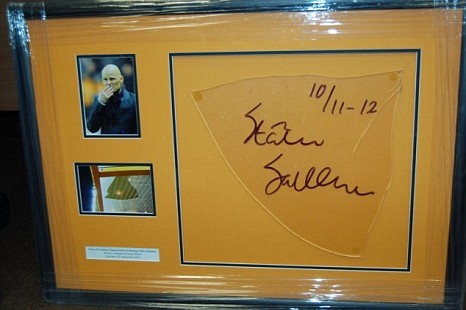 Wolves auction punched out dugout panel on eBay
