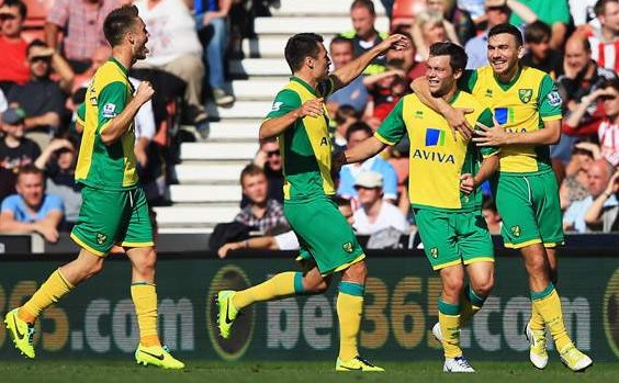Stoke City 0-1 Norwich City: Howson strike gets Hughton back to winning ways
