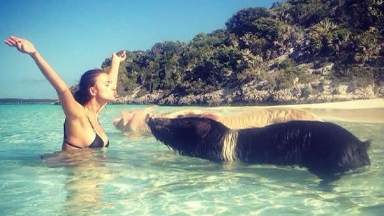Oink, oink! Irina Shayk goes swimming with pigs
