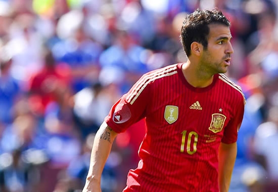 Juan Mata meant no need for Fabregas says new Man Utd boss Louis Van Gaal