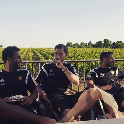 Tottenham duo enjoy glass of wine in France