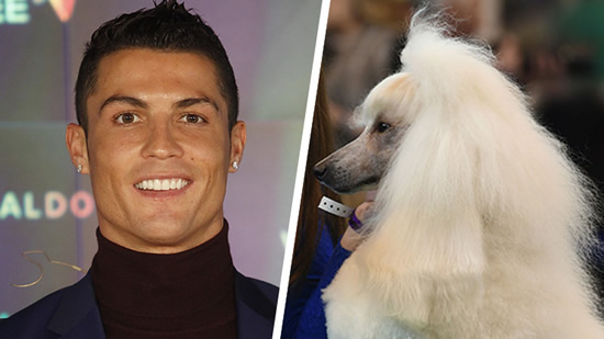 Cristiano Ronaldo is competing in Crufts today!