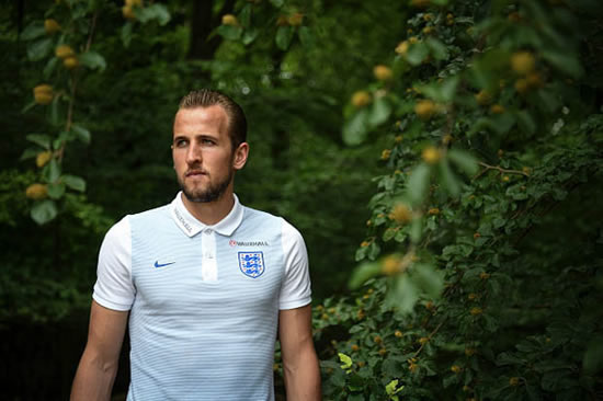Harry Kane: England are fighting for Roy Hodgson
