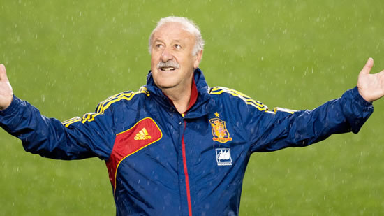 Vicente del Bosque leaves his position as Spain coach